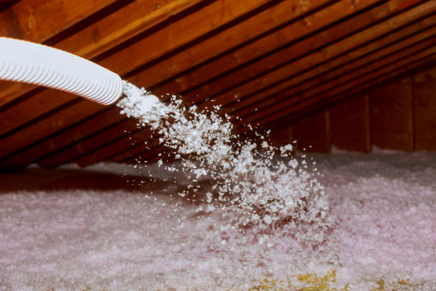 Best Specialized Insulation Services in Park City, IL